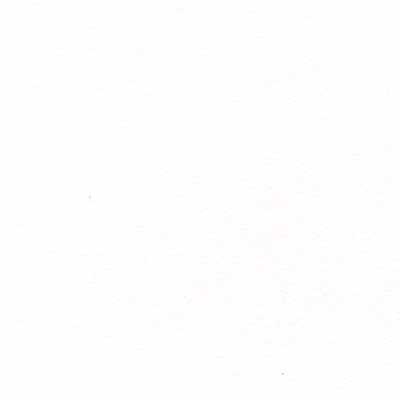 allerlei/ranger alcohol inkt/A4 paiper voor ranger inkt 5st. wit .jpg